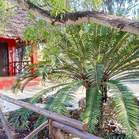 Twisted Palms Lodge & Restaurant Bwejuu Exteriér fotografie