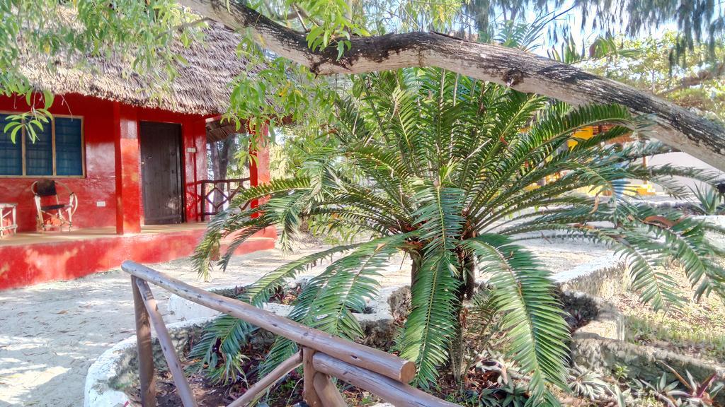 Twisted Palms Lodge & Restaurant Bwejuu Exteriér fotografie
