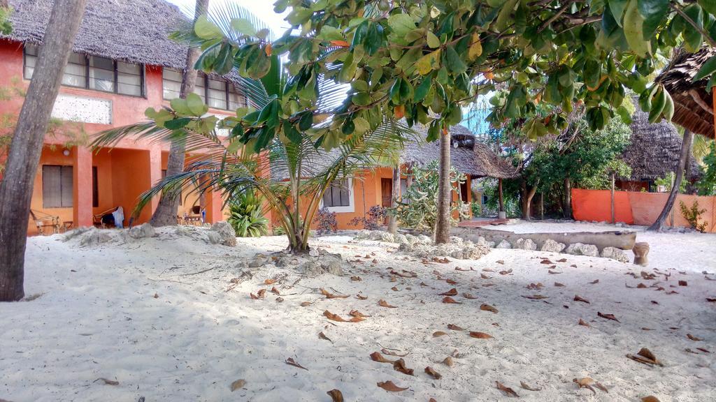 Twisted Palms Lodge & Restaurant Bwejuu Exteriér fotografie