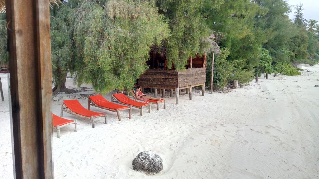 Twisted Palms Lodge & Restaurant Bwejuu Exteriér fotografie